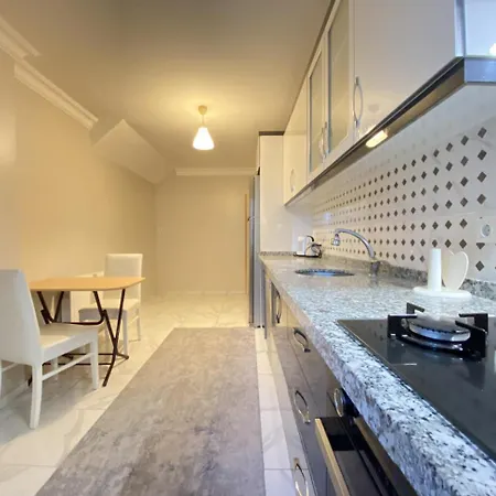 Spacious And Modern Flat In Kagithane Appartement Istambul